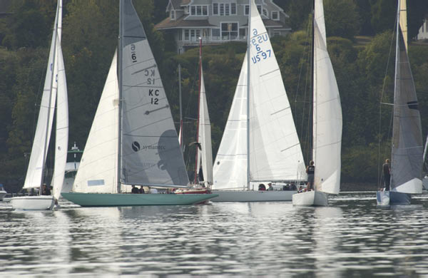 DSC_0537