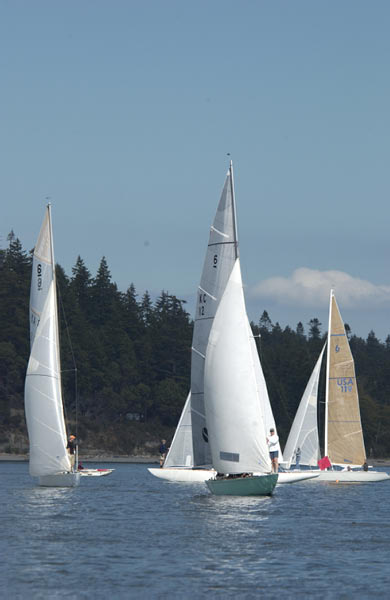 DSC_0570