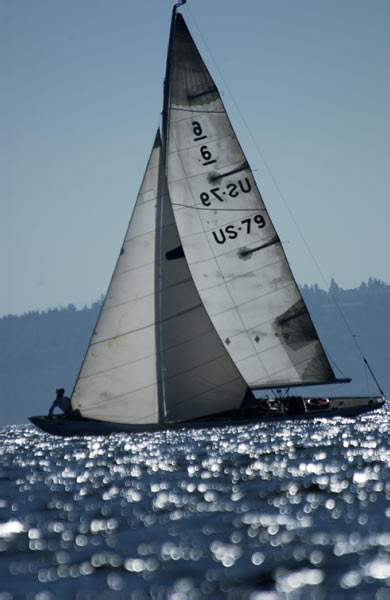 DSC_0705