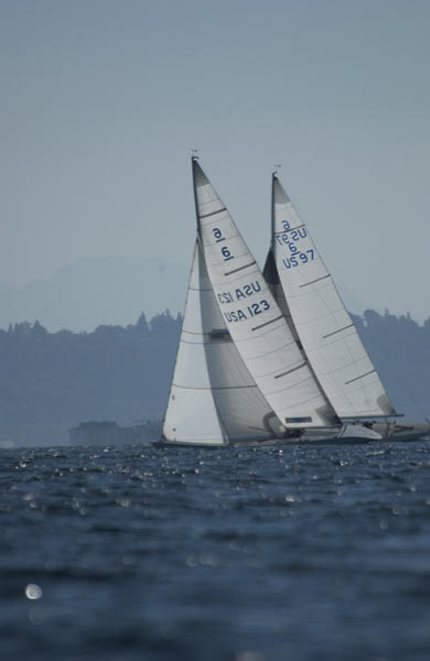 DSC_0709