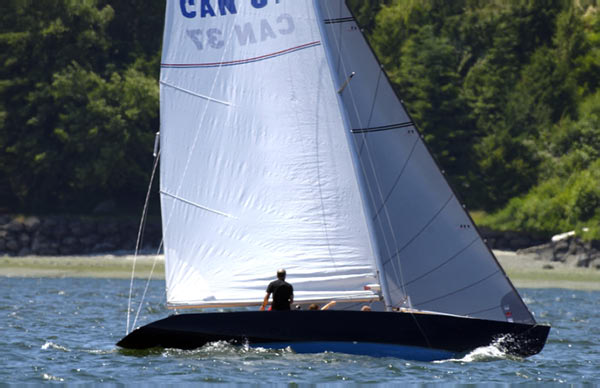 Lipton Cup06.2366-25-06