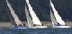 DSC_0097 copy 1