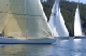 BoundaryCup06161.deo.9-10-06
