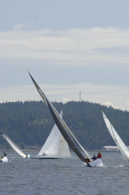 _ELN7454