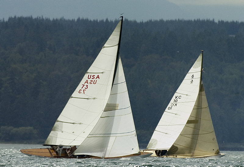 _DSC0250